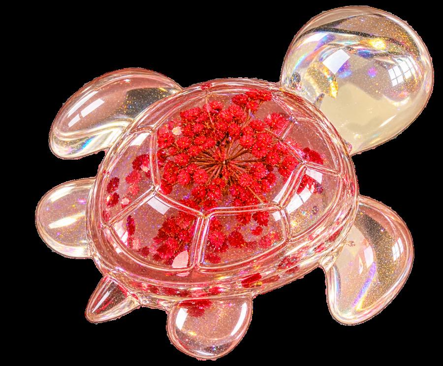 Petite Tortue Décorative